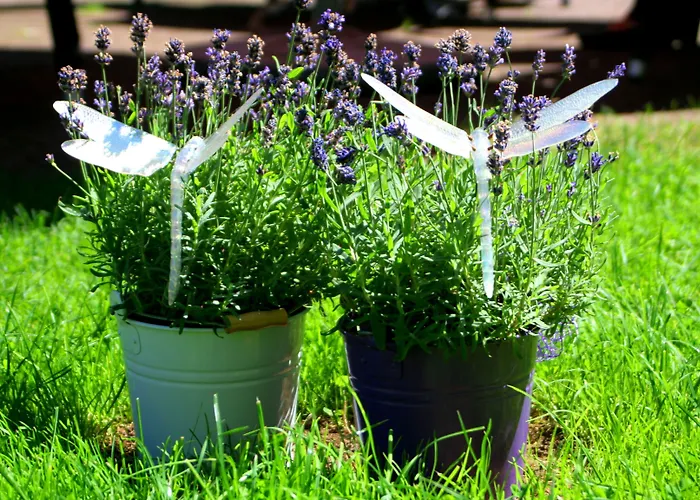 Zum Taufstein Hotel Sparhof